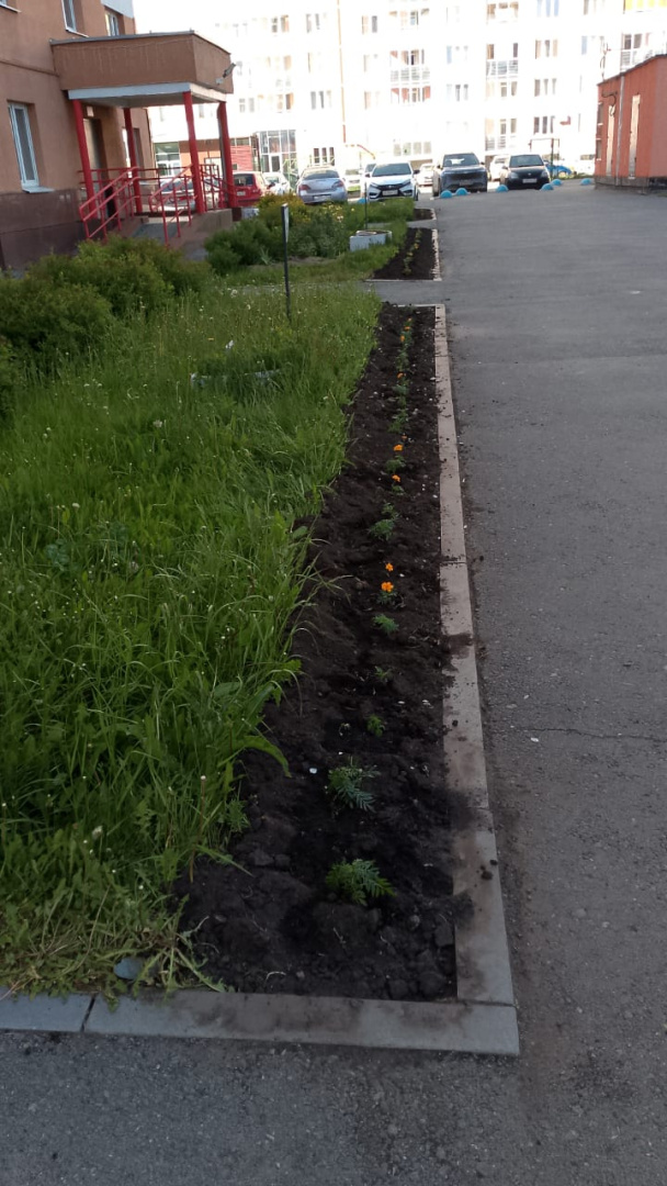 М5 (2).jpeg